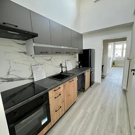 Apartment Mezonetovy Byt V Srdci Ostravy